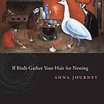 A photo of the cover for Birds Gather Your Hair for Nesting by Anna Journey